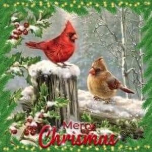 Meet your Posher, Marcia